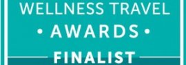 wellness awards finalist logo